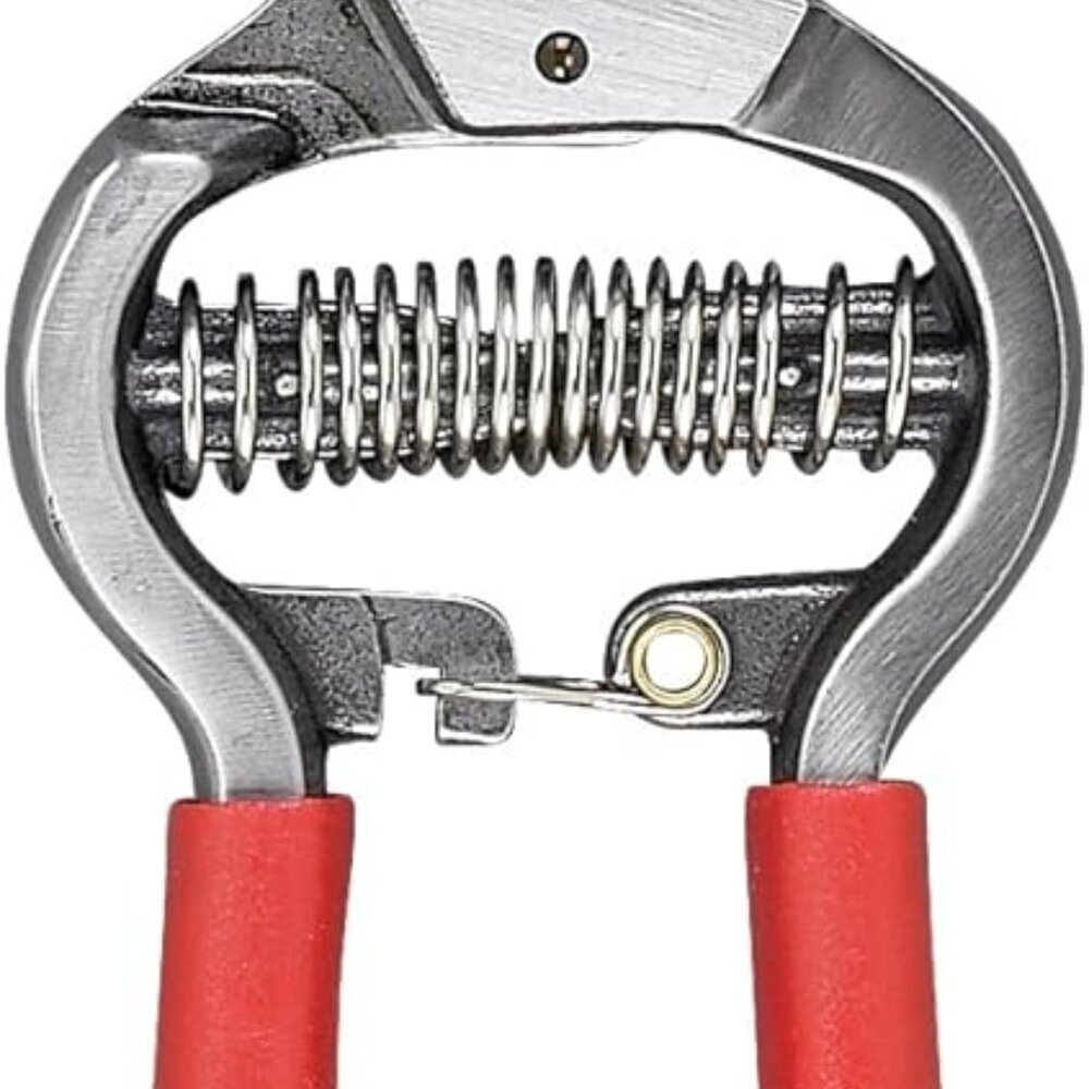 BP 3180D Forged Classic Bypass Pruner with 1 Inch Cutting Capacity, 1", Red